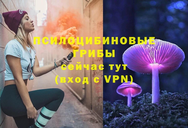 соль ск Ладушкин