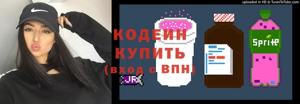 твердый Лиски