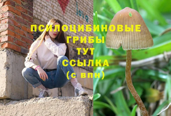 соль ск Ладушкин