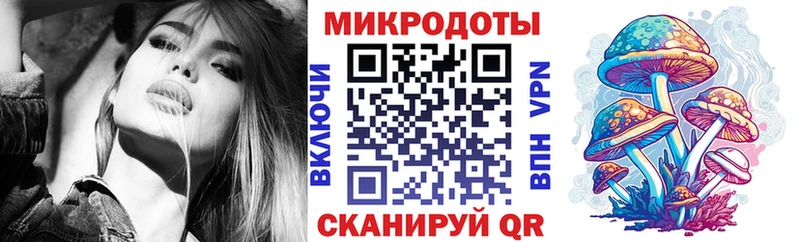 Купить  Кимовск  Псилоцибиновые грибы Psilocybe 